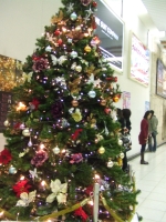 【クリスマスツリー】東京テレポート駅